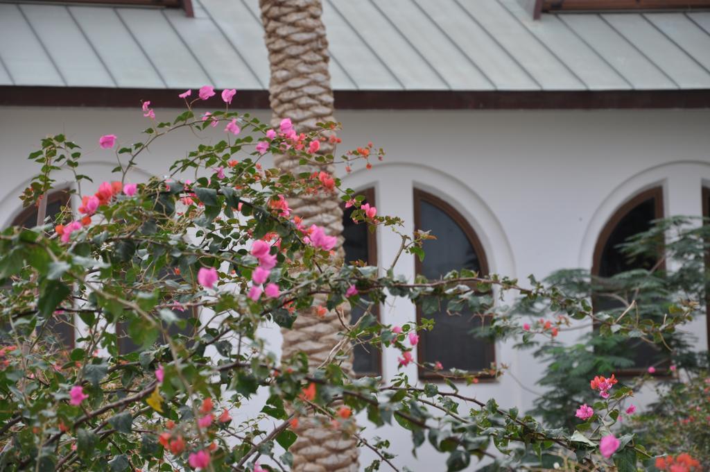 Russian Pilgrim Residence Sweimeh Esterno foto